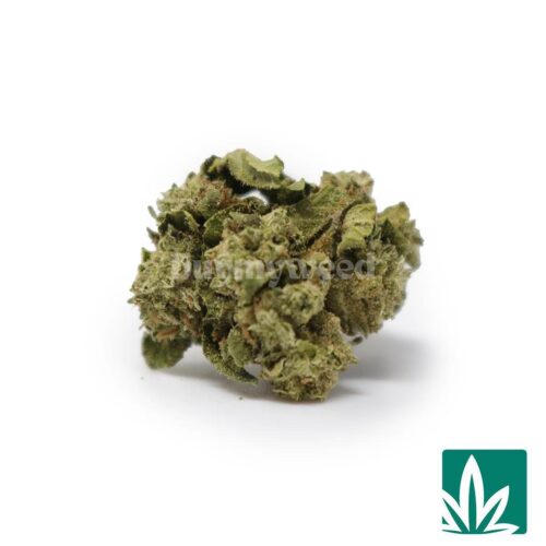 LCG Smalls Strain