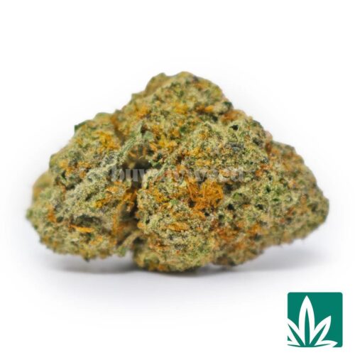 Gelato Cakes Strain