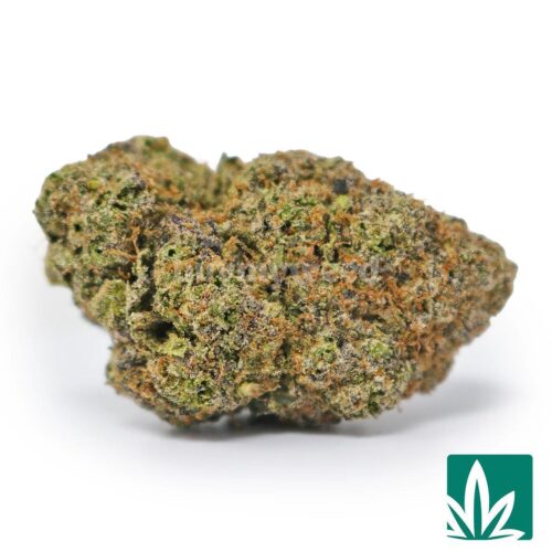 Purple Lemon Pop Strain