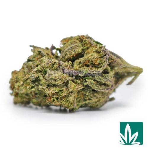Gelato Candy Strain