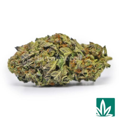 Gummy Cake Strain