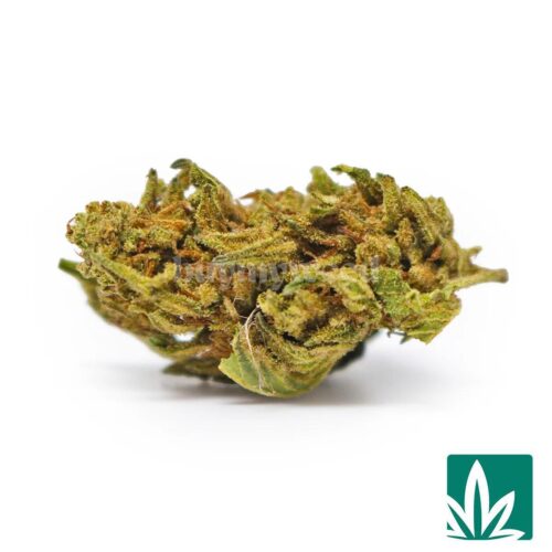 Glitter Bomb Smalls Strain