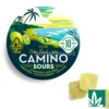 Camino - Citrus Punch 100mg