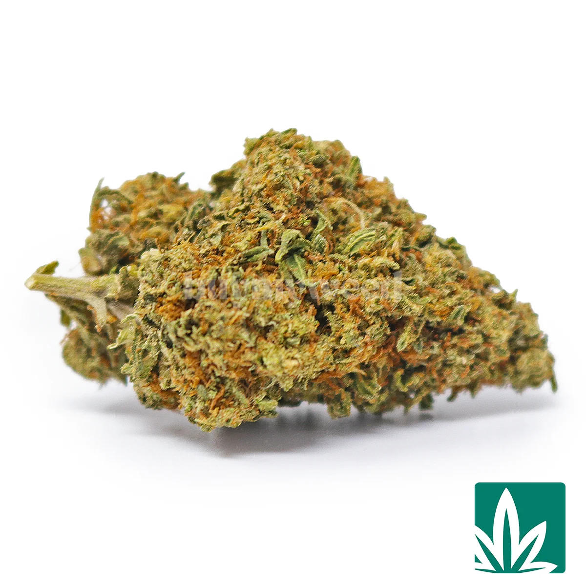OG Strain - Image 2