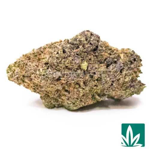 Purple Leprechaun Runtz Strain