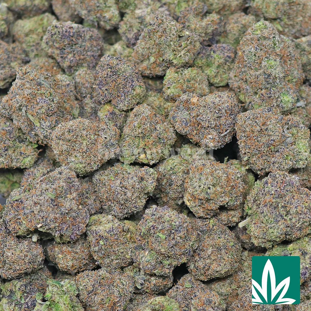 Candy Warhead Strain - Image 2