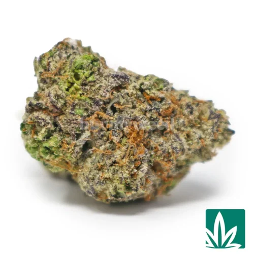 Berry Citrus Haze Strain
