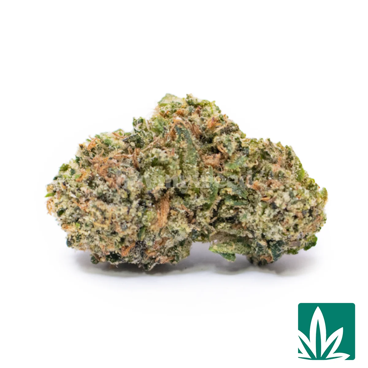 Biggie Gelato Smalls Strain