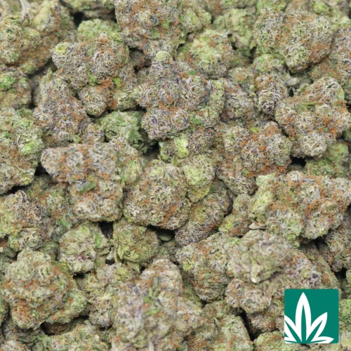 Bubblegum Gelato Burst Strain
