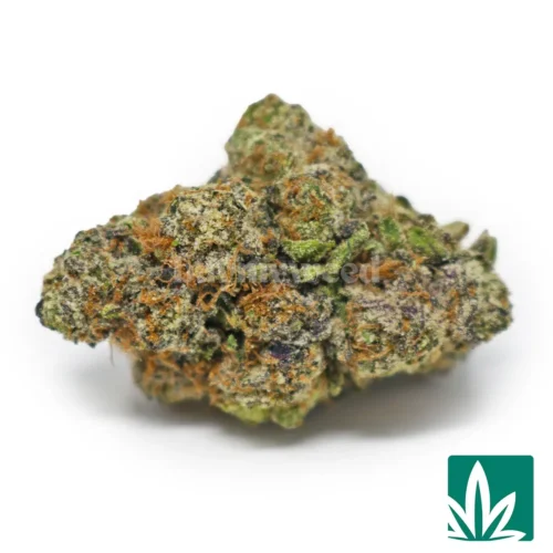 Bubble Gum Gelato Strain
