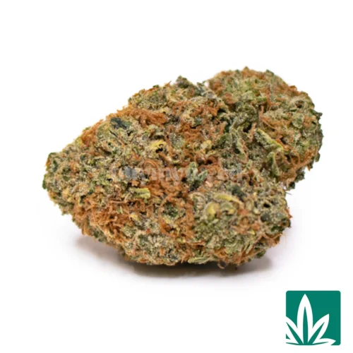 BZ LCG (Lemon Cherry Gelato) Strain