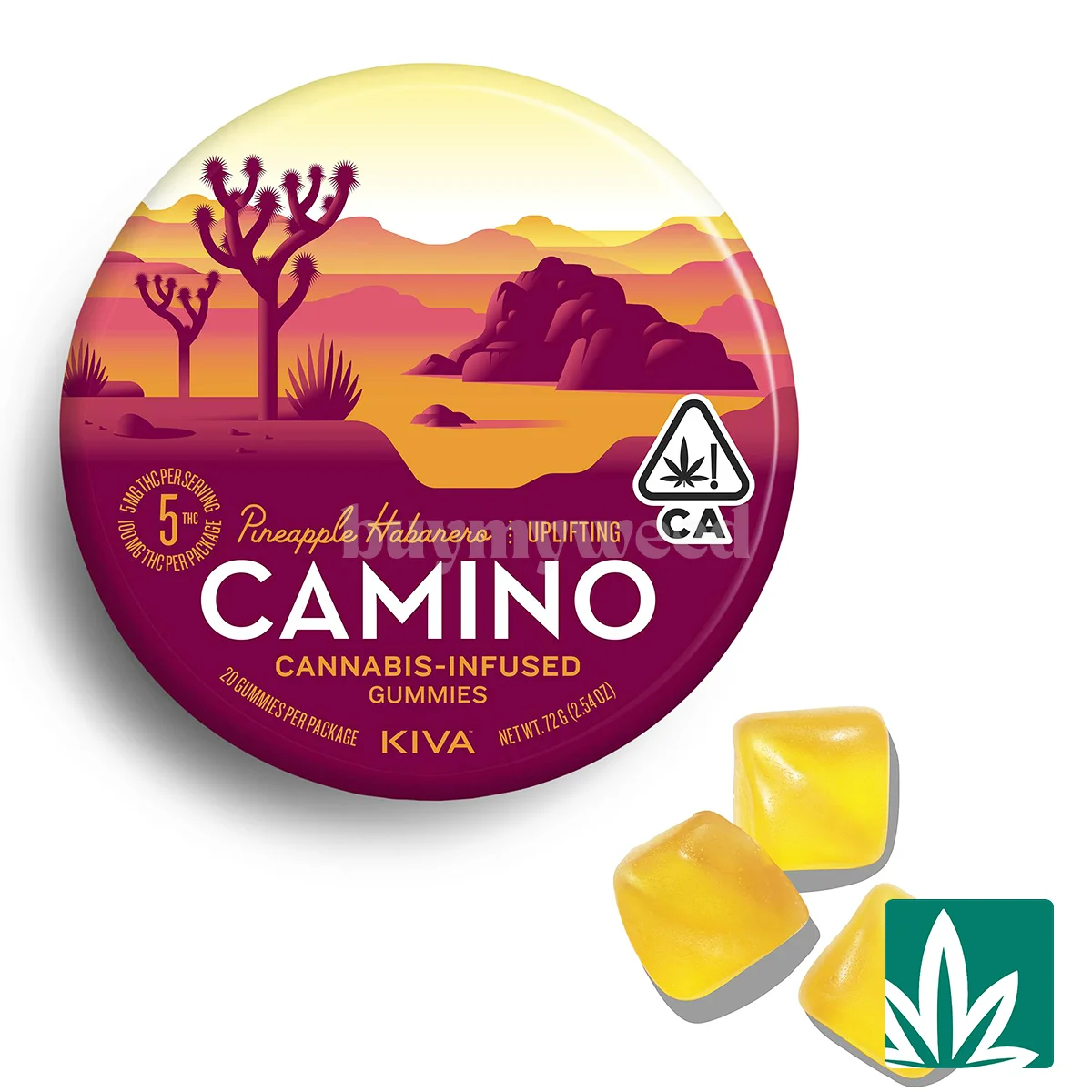 Camino – Pineapple Habanero 100mg