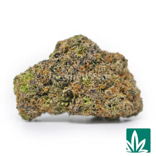 Candy Gusherlatto Strain