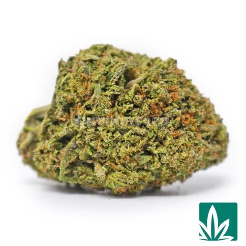 Gelato Haze Strain