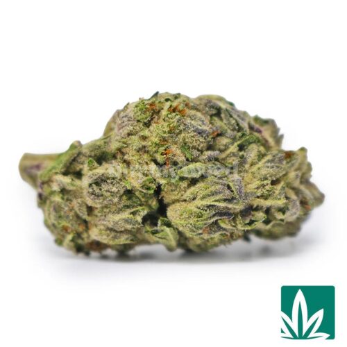 Choco Creme Cookies Smores Strain