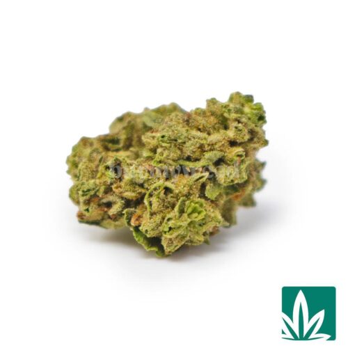 Golden Gas Smalls Strain