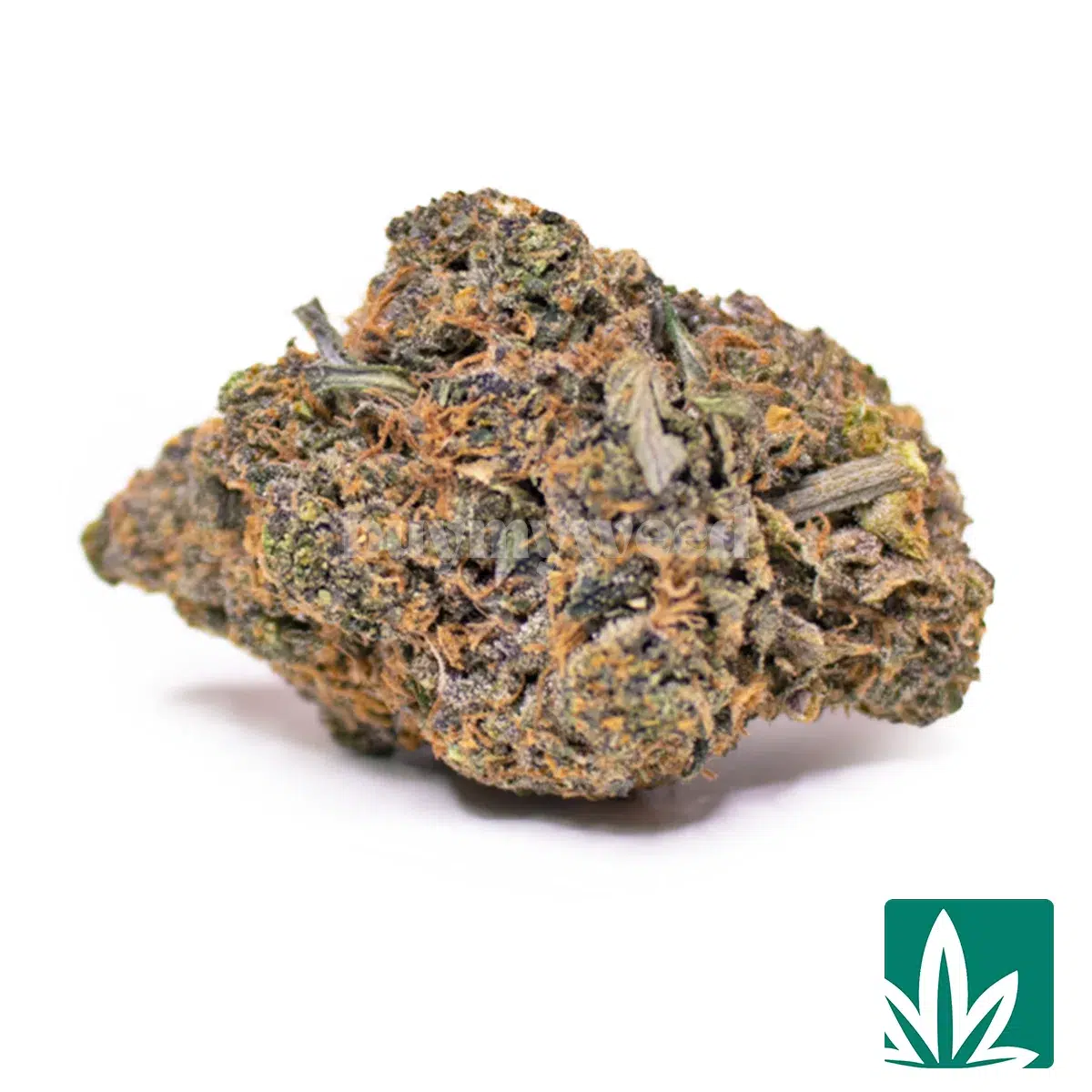 Fatboy Gelato Strain (Mid)