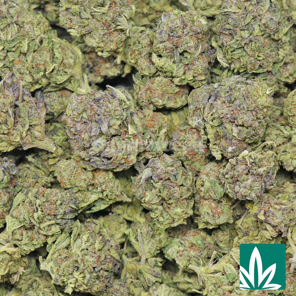 Purple Froyo Cake Strain - Image 2