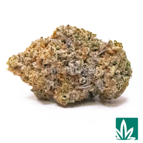 Galactic Truffle Oreos Strain