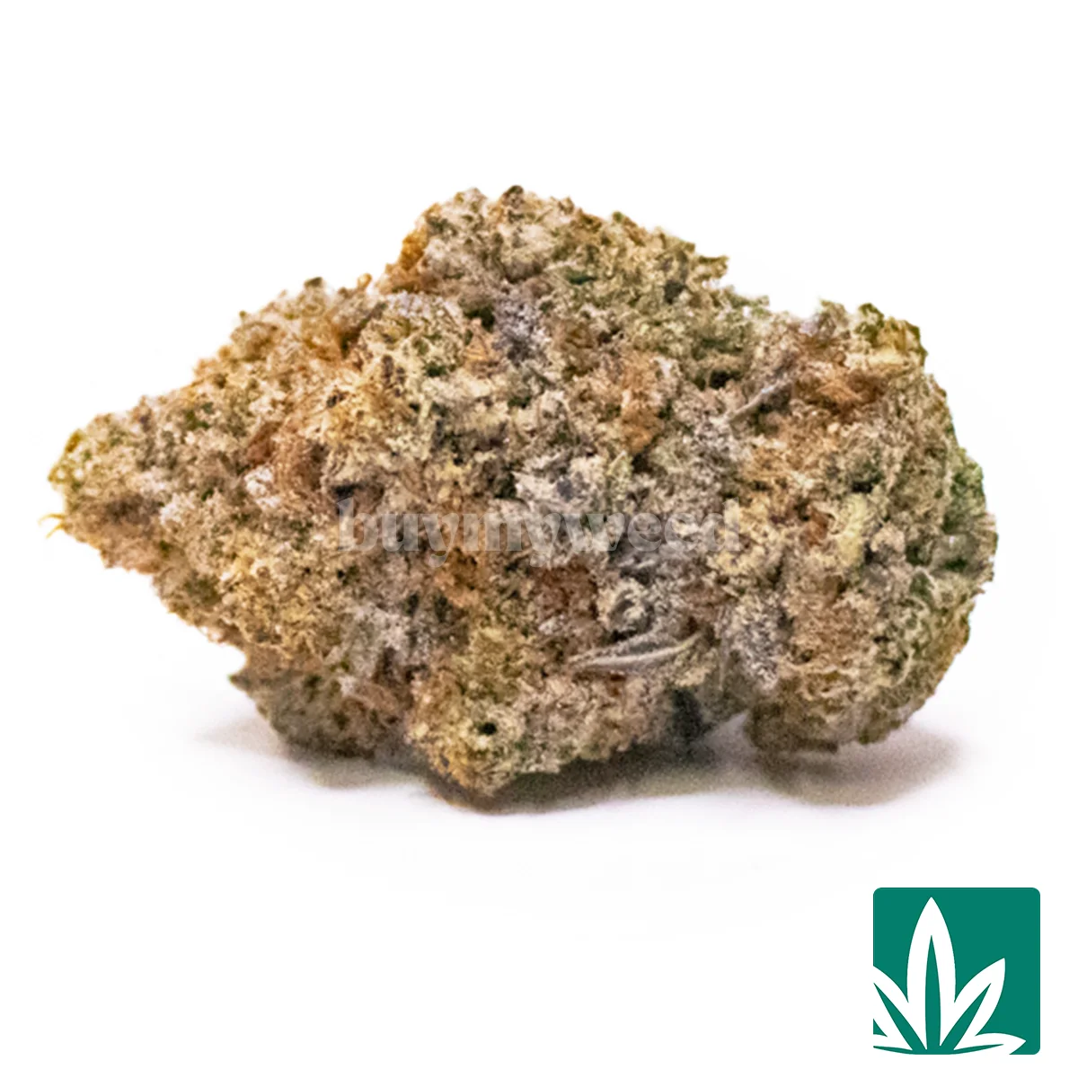 Galactic Truffle Oreos Strain