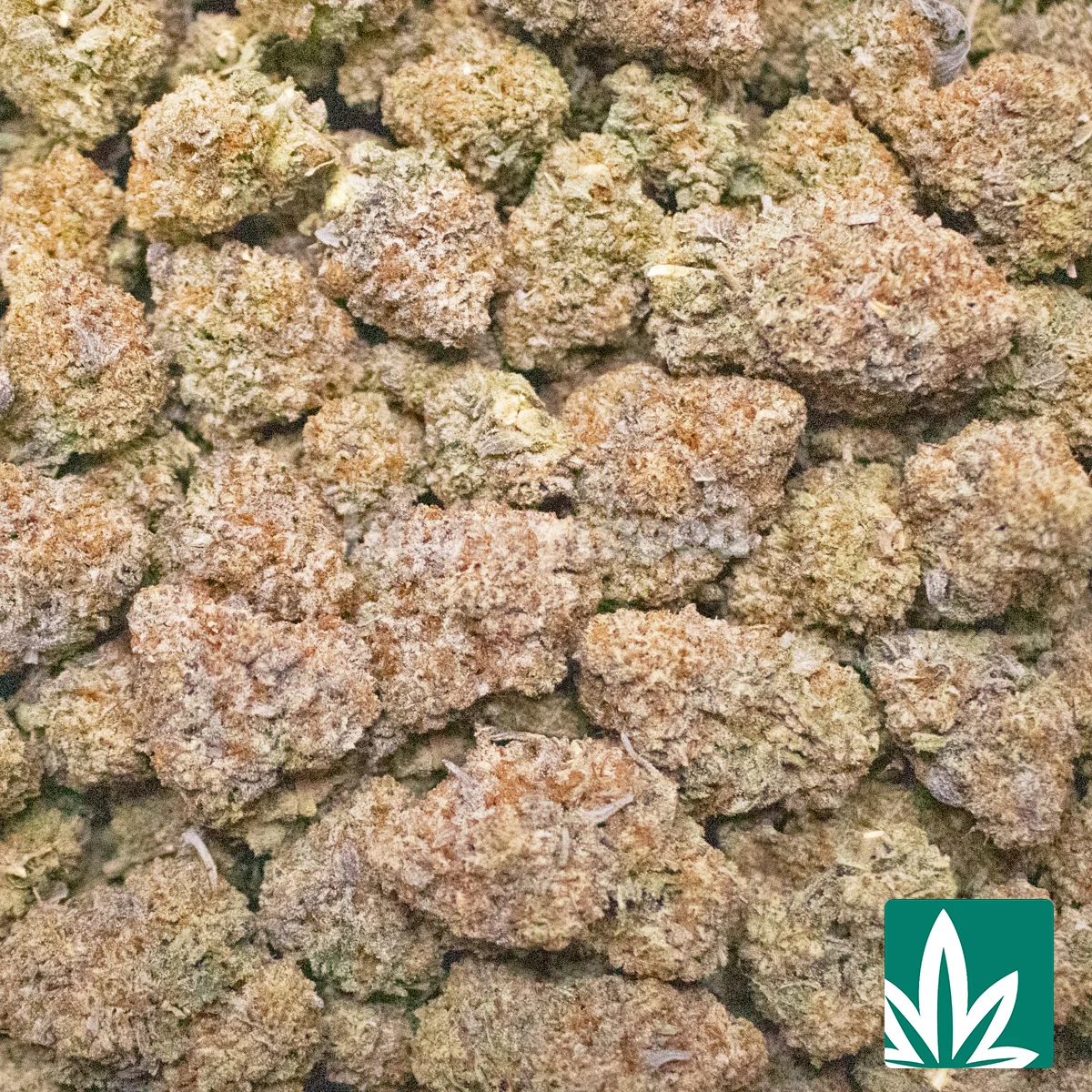 Galactic Truffle Oreos Strain - Image 2