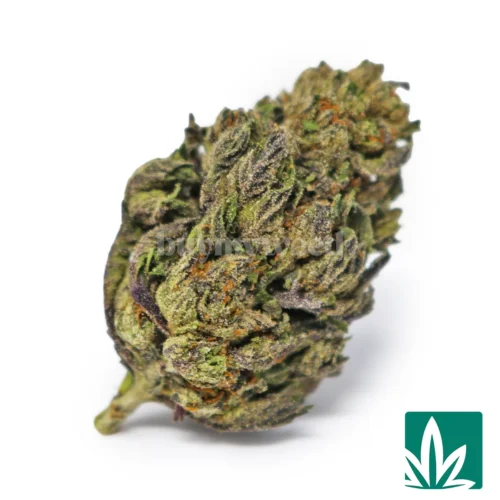Gummy Haze Strain