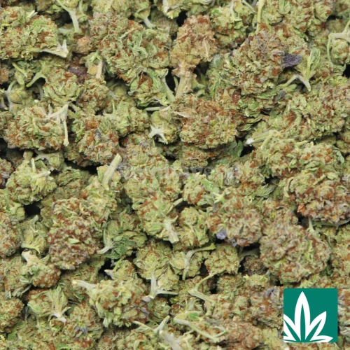 ILL OG Strain