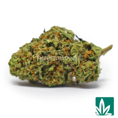 Lemon Skunk Strain