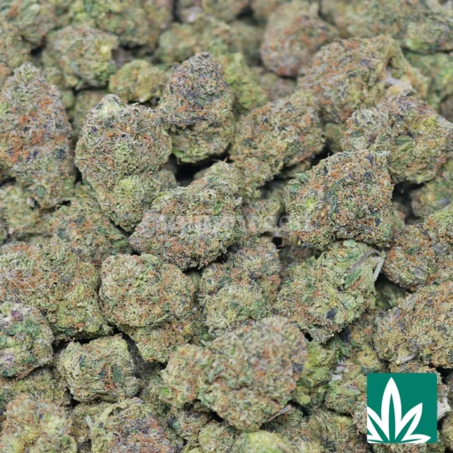 Lemon Warhead Strain - Image 2