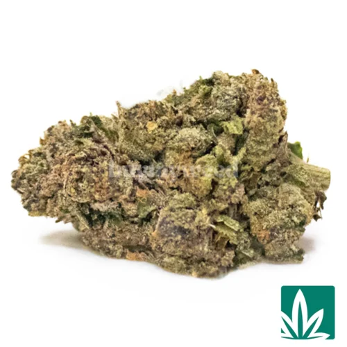 Peach Ringz Strain