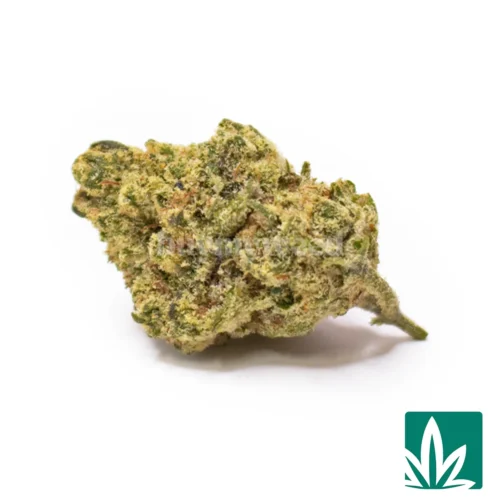 Mochi Moch Smalls Strain