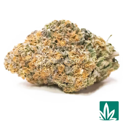 MP Ice Cream Cake 2 Strain