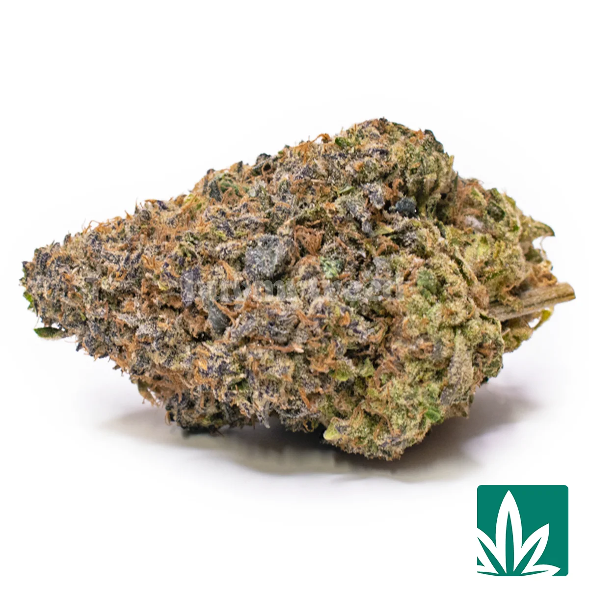 MP Gelato 45 Strain