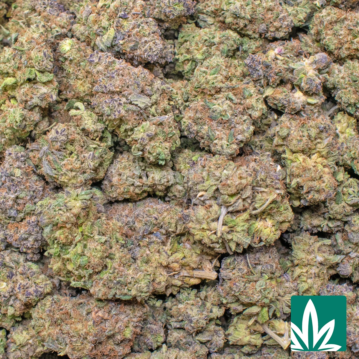 MP Gelato 45 Strain - Image 2