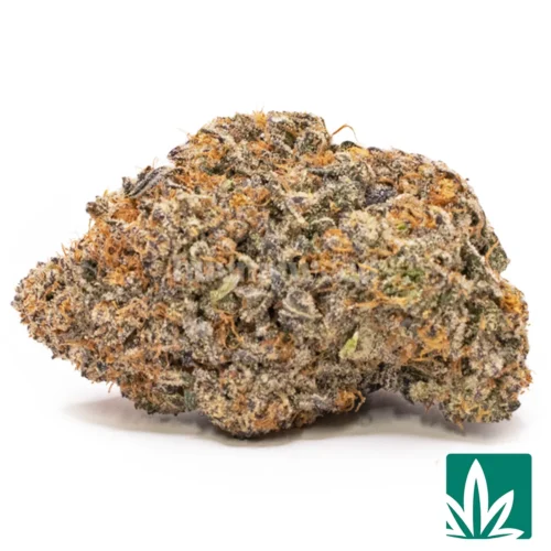 MP Ice Cream Cake 15 Strain