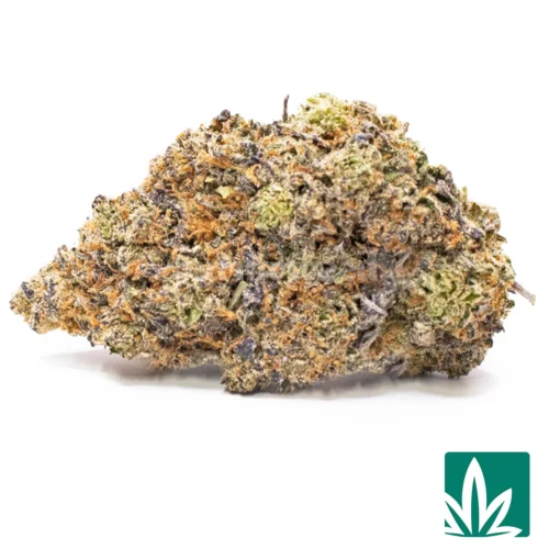 MP Super Runtz Strain