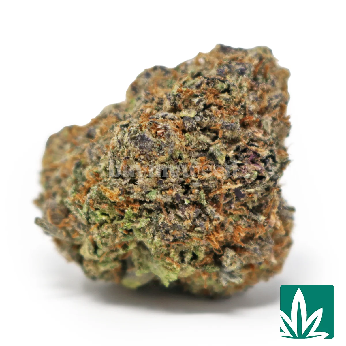 Pink Gumbo Runtz Strain - Image 2