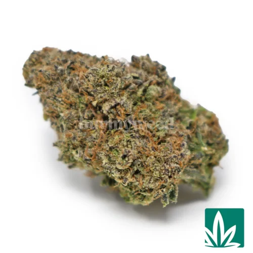 Pink Gummy Worms Strain