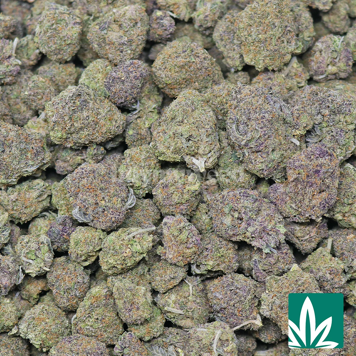 Purple Froyo Strain - Image 2
