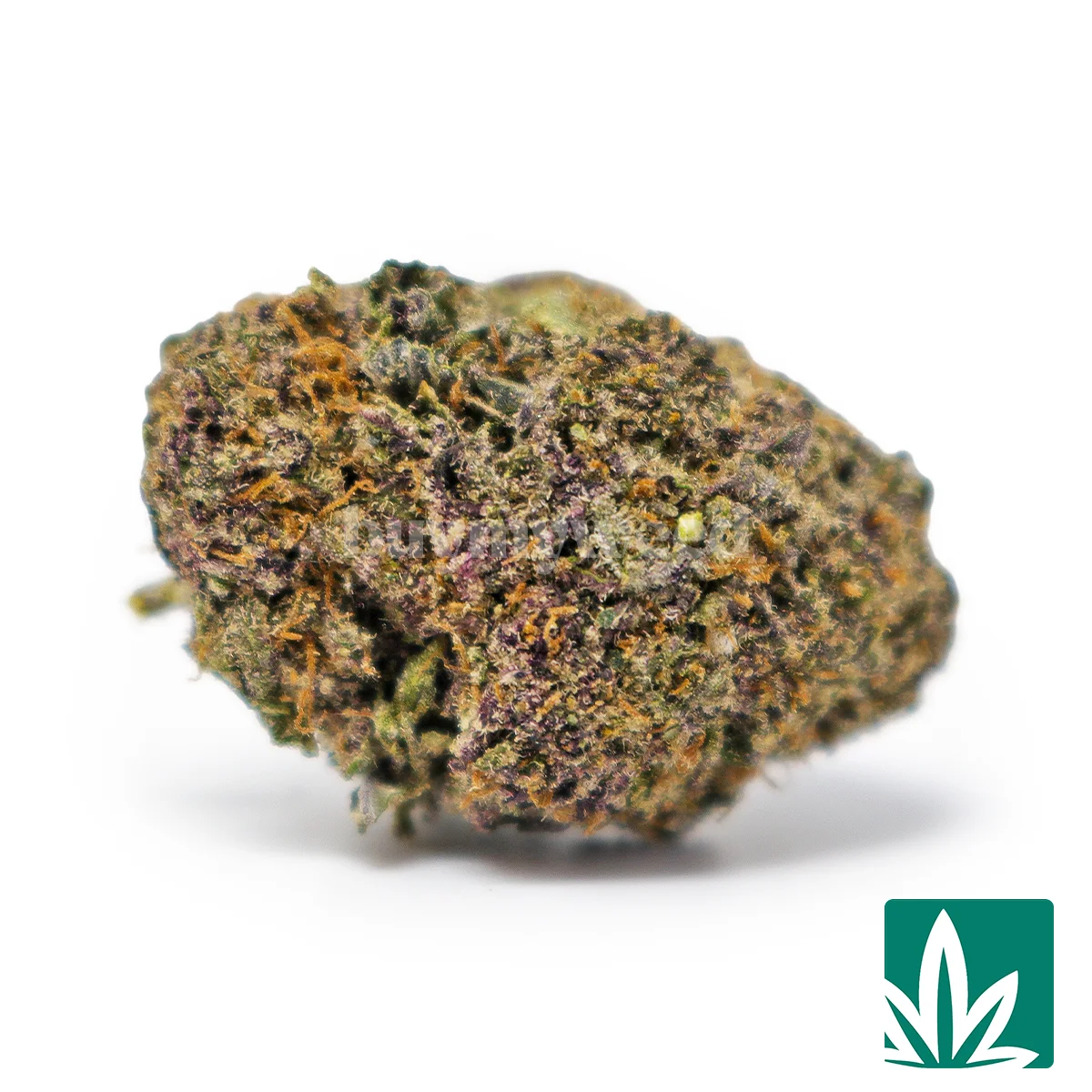 Purple Froyo Strain