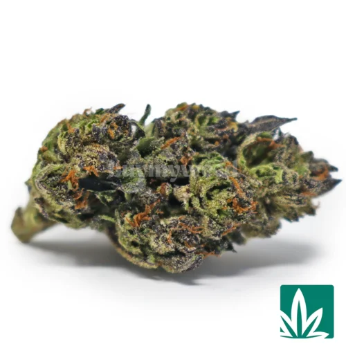 Purple Rozay Strain