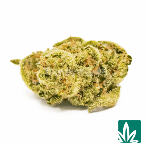 Rom Indoor Smalls Strain