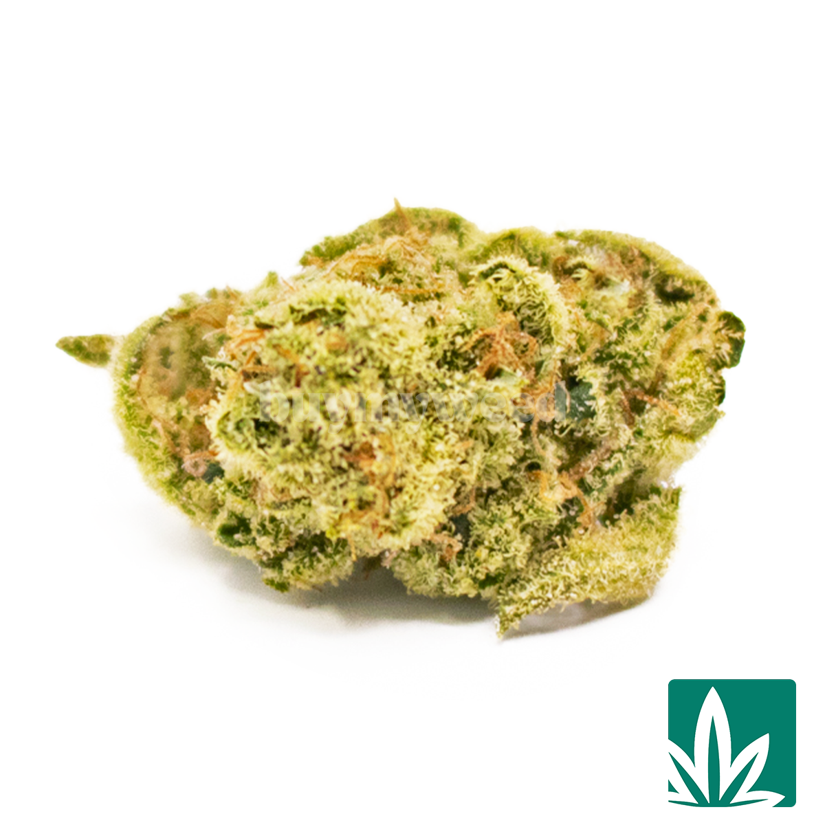 Rom Indoor Smalls Strain