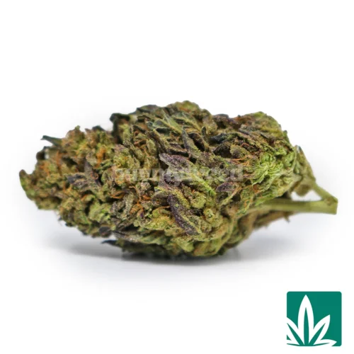 Silver Haze Strain