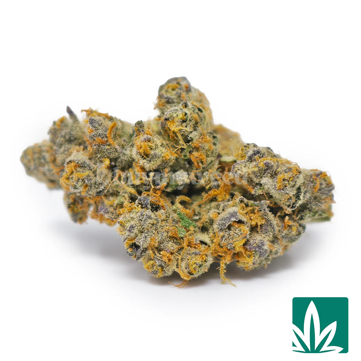 Snowman Strain