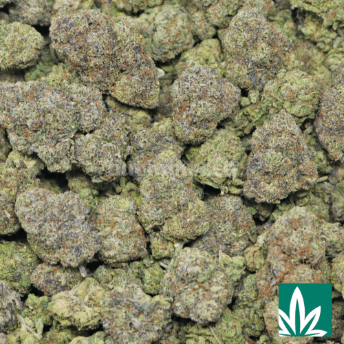 Super Mochi Strain