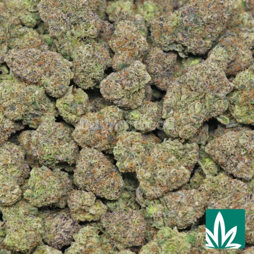 Thunder Runtz Strain