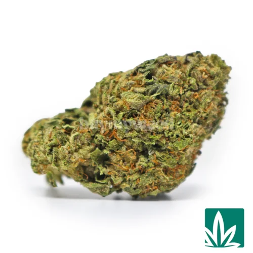 Wedding Pie Strain