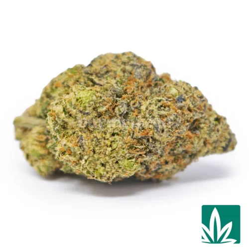 White Gelato Bomb Strain