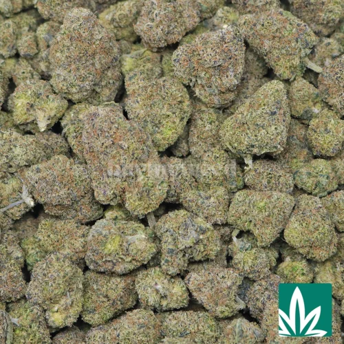 Cherry Sherbet - Image 2